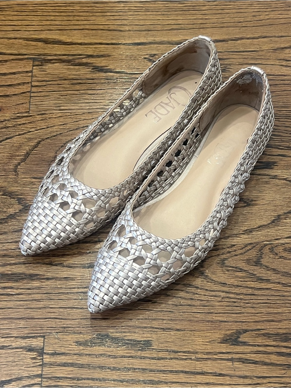 Women's Shoes Pointed-Toe Flats in Metallic Silver-Taupe SIZE 6